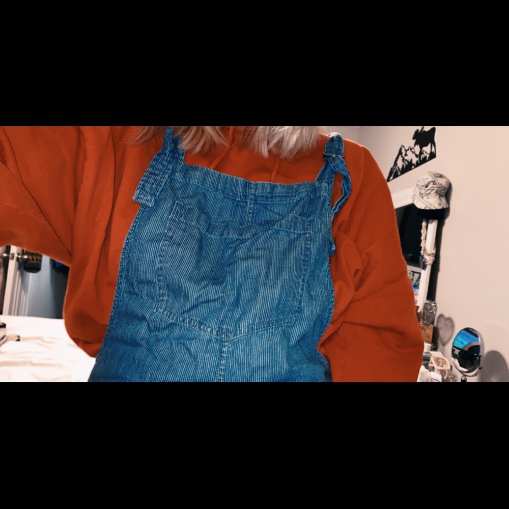Aerie Overalls